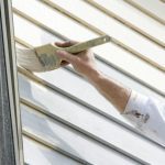 Siding Painting